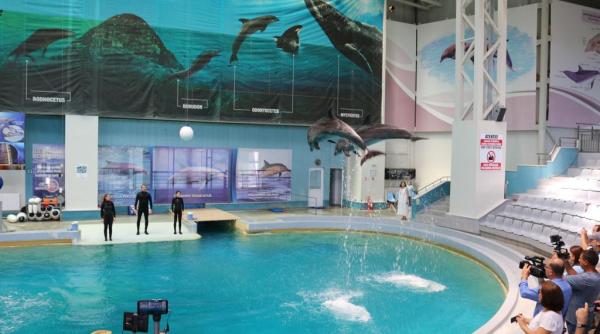 delfinariul constanta inchis nu prezinta siguranta pentru copii