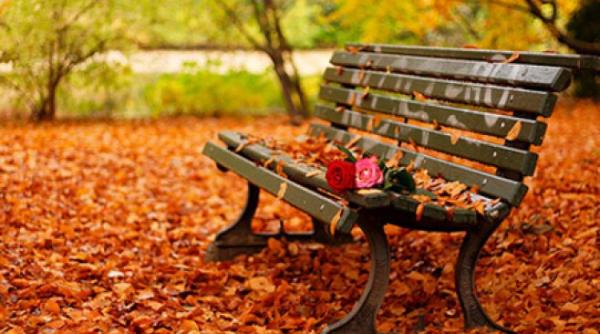 anm prognoza meteo pe urmatoarele 4 saptamani