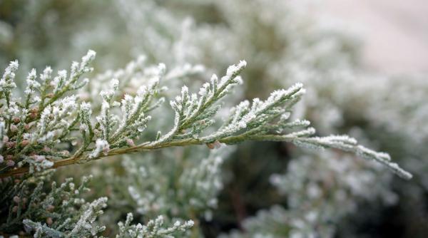 vremea se schimba radical mateescu anm prognoza meteo vor fi temperaturi negative