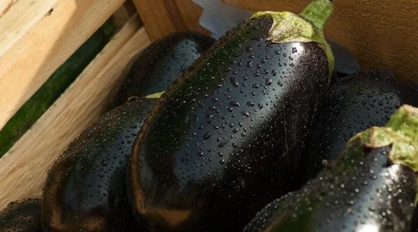 adori salata de vinete trucul care iti va usura enorm munca in bucatarie