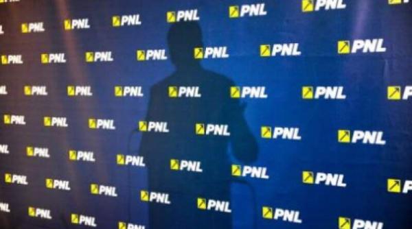 alegeri parlamentare 2020 lista pnl pentru braila