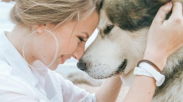studiu lockdown ul i a facut pe mai multi romani sa isi cumpere un animal de companie