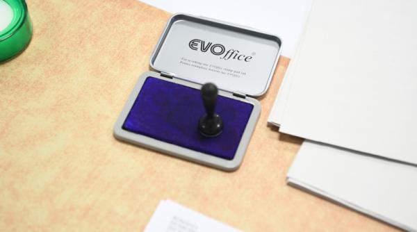 alegeri parlamentare 2020 lista pmp pentru cluj