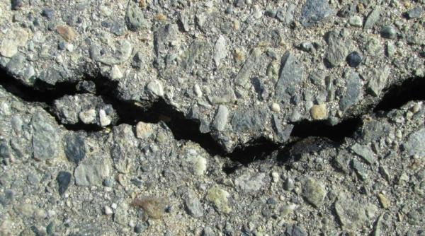 clipe de cosmar pentru un barbat care astepta autobuzul s a prabusit intr o groapa plina de sobolani