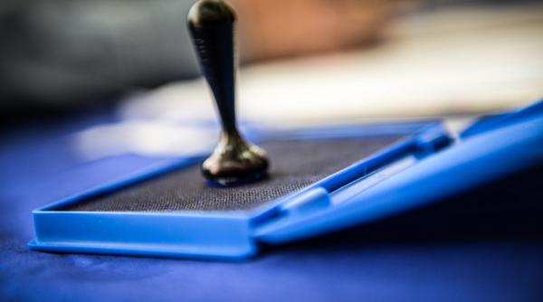 alegeri parlamentare 2020 lista candidati