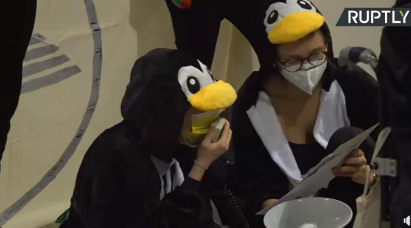 pinguinii au blocat un aeroport un activist s a lipit de un avion momente halucinante video