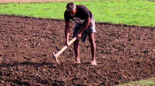 dramele sezonierilor romani expuse intr o carte italiana copila violata ani in sir