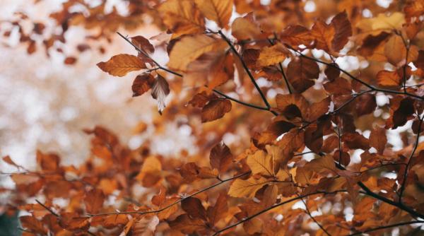 vremea pe o luna meteorologii tot ce trebuie sa stii despre urmatoarele patru saptamani