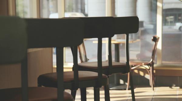 decizie in instanta pentru horeca elena cristian poate va fi o lectie pentru guvern