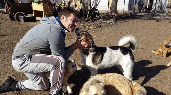 caine torturat sub privirile mai multor copii marius chirca niste barbari in actiune este traumatizat pe viata