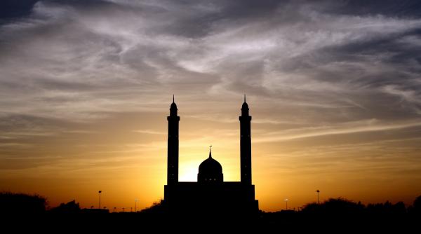 atentat la viena guvernul austriac ordona inchiderea moscheilor radicale