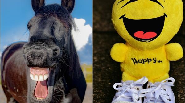 mi ar placea sa am curajul sa nu las bacsis top 20 citate amuzante pentru un inceput de weekend perfect