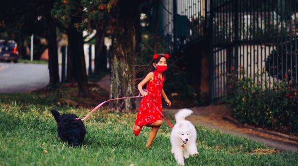 cainii salvarea noastra in lupta covid 19 rezultatele uimitoare ale unui studiu au o precizie mult mai mare decat testele pcr