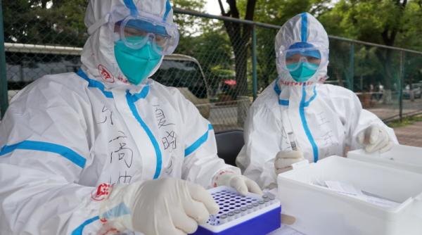 medicii veterinari in strada protest minge de ping pong vrem sa ne fie recunoscute drepturile