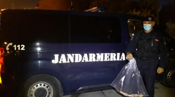 locatarii unui bloc din timisoara s au trezit cu un sarpe pe scara