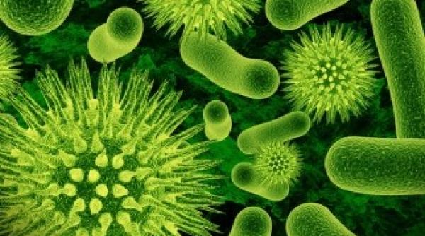 medicament pentru alzheimer eficient in lupta cu bacteriile rezistente la antibiotice