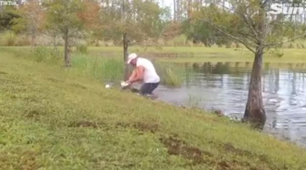 ai face asta un barbat se lupta cu un aligator pentru a salva un caine video ul face inconjurul lumii