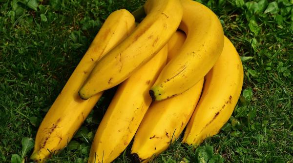 plantatii de banane stropite cu pesticide cetatenii au sangele otravit