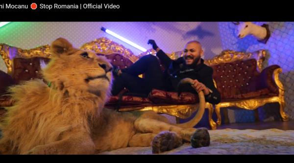 dani mocanu si leul ranit scandal monstru chestiune interesanta despre care nu s a vorbit pana acum