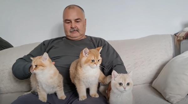 mori de dragul lor barbat atacat de pisoi video viral