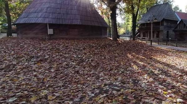 la muzeul satului salonul national de arta contemporana at snac 2020