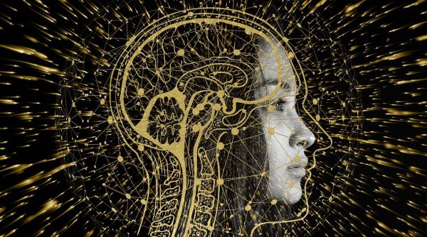 studiu neuropsihic ce se intampla cu amintirile atunci cand imbatranim