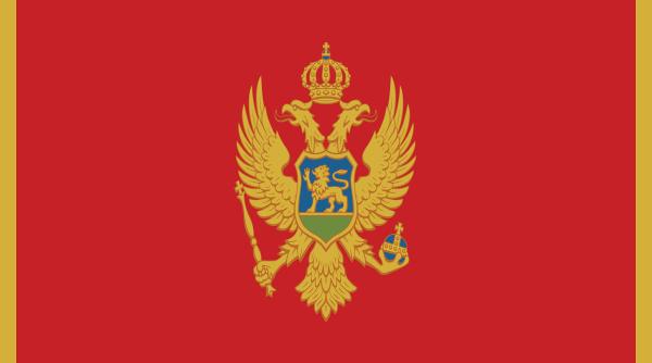 cine este matei viorel ardeleanu noul ambasador al romaniei in muntenegru a fost numit si de basescu in 2012