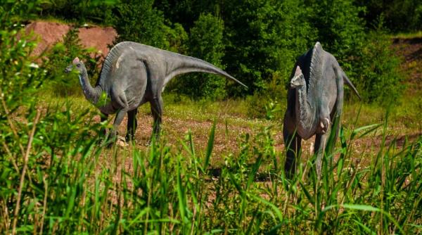 descoperire epocala de fosile de dinozauri sunt foarte rare