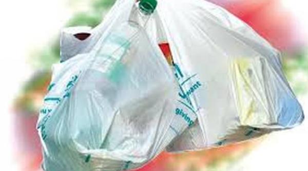 pungile din plastic interzise incepand din 2022