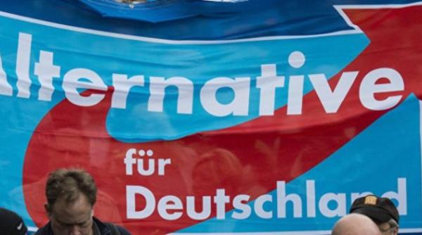 partidul de extrema dreapta afd din germania la cel mai scazut nivel in sondaje