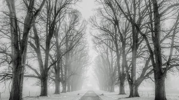 anm prognoza meteo unde va mai ninge elena mateescu anm are toate raspunsurile