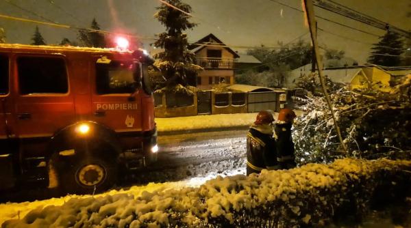 ninsoarea si viscolul fac primele probleme pompierii din tulcea solicitati sa intervina