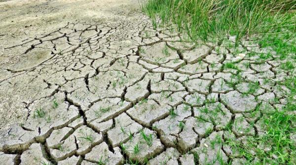 secretarul general onu umanitatea duce un razboi sinucigas cu natura
