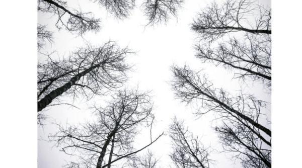 anm vremea de craciun prognoza meteo pana pe 4 ianuarie 2021 pregatiti va