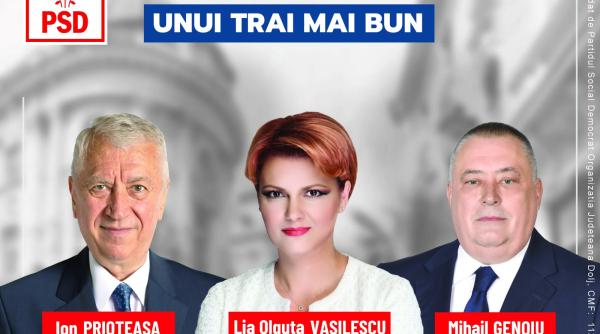 cine sunt candidatii psd dolj pentru parlament citeste totul despre ei aici