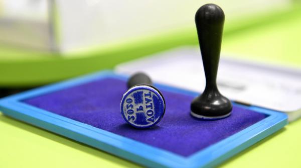 bec prezenta vot alegeri parlamentare 2020 ora 13 00 oficial