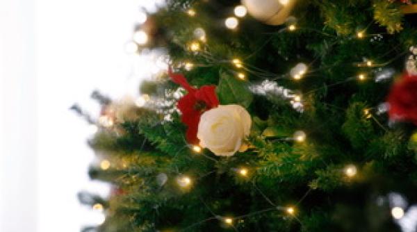 de craciun noi interdictii in italia ce nu ai voie sa faci