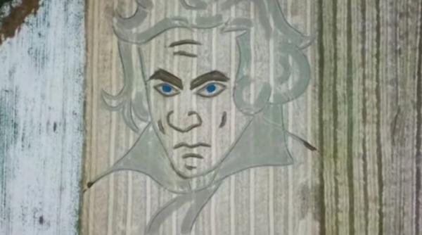 video spectaculos un portret urias a lui beethoven realizat pe un camp in nordul italiei