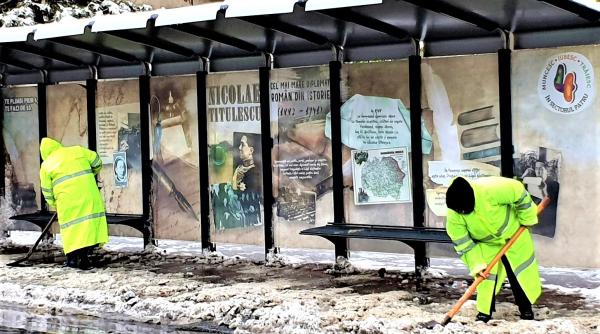 sectorul 4 zapada cazuta nu i a luat prin surprindere pe cei de la totul verde