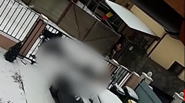 video femeie din suceava atacata pe strada de 5 caini rotweiller atentie imagini cu puternic impact emotional