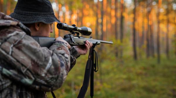 pentru ca a ucis sute de caprioare un braconier a fost condamnat sa se uite de 12 ori la filmul bambi