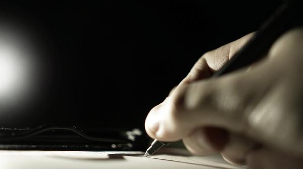 acuzatii grave numire din pix facuta de guvernul pnl in ces este ignorat un proces democratic