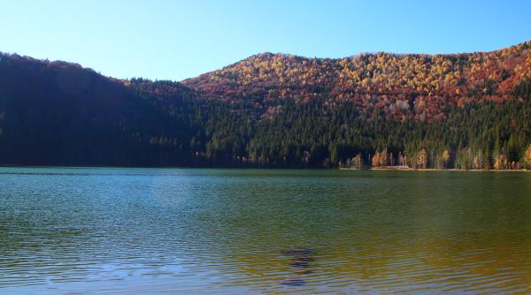 problema ecologica la lacul sfanta ana din primavara incepe recoltarea