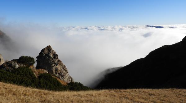 imagini spectaculoase cu caprele negre din parcul natural bucegi