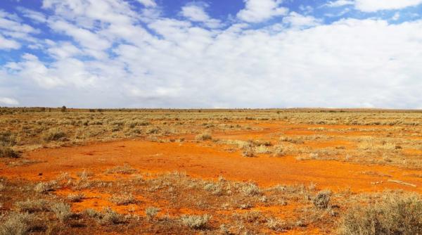 un tata si fiul sau salvati de prietenii care au mers 12 ore dupa ajutor