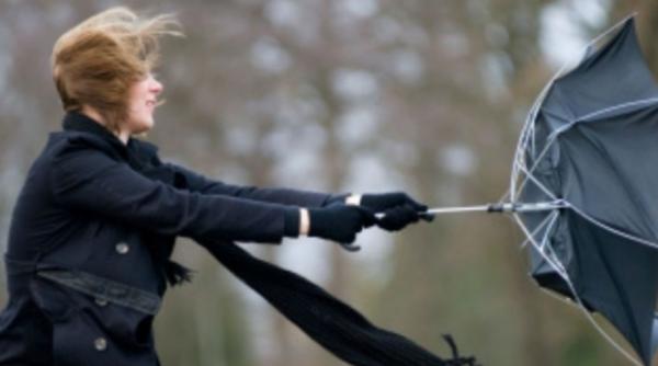 cod galben de vant puternic in noua judete