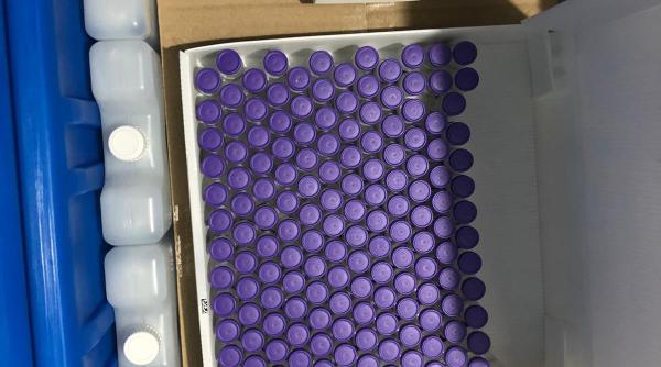 astazi a inceput vaccinarea in peste 90prc  din cele 376 de centre de vaccinare