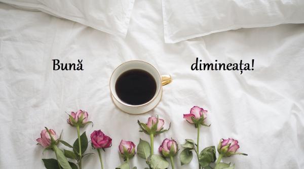 cele mai frumoase imagini in loc de buna dimineata trimite le prietenilor tai galerie foto