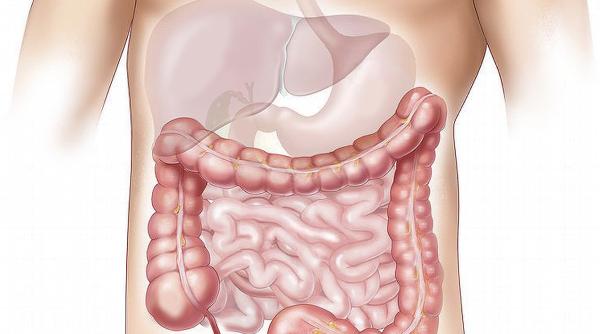 cum iti cureti si isi detoxifiezi intestinele 5 pasi simpli pentru sanatatea ta