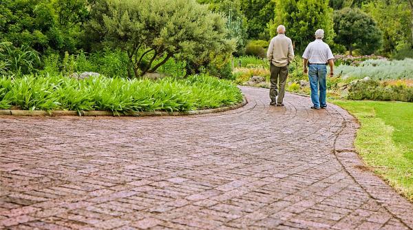 ratele care merg pe apa intr un parc din madrid nu este un truc magic foto